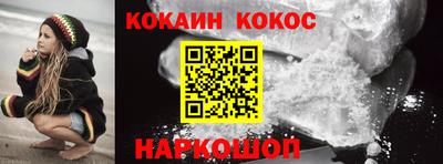 гашик Донской