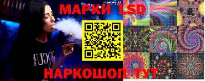 гашик Донской