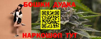 гашик Донской