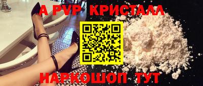 гашик Донской